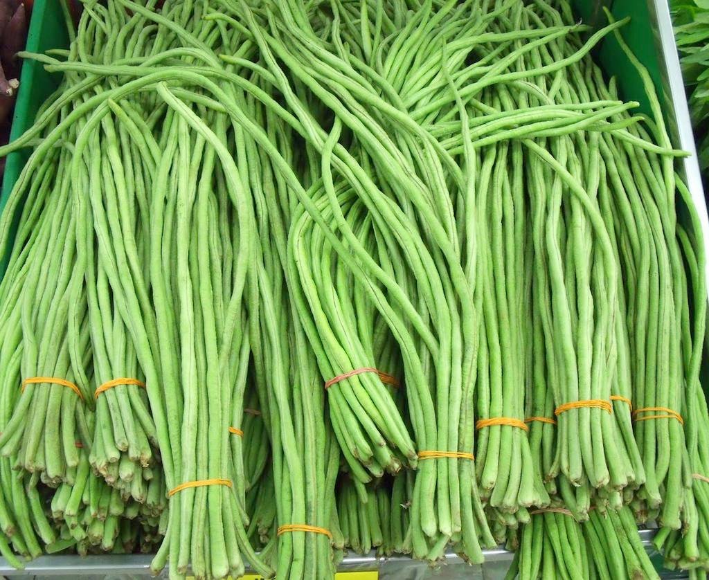 Lobia Beans/Cowpea Vegetable Plant Seeds For Home Garden & Terrace